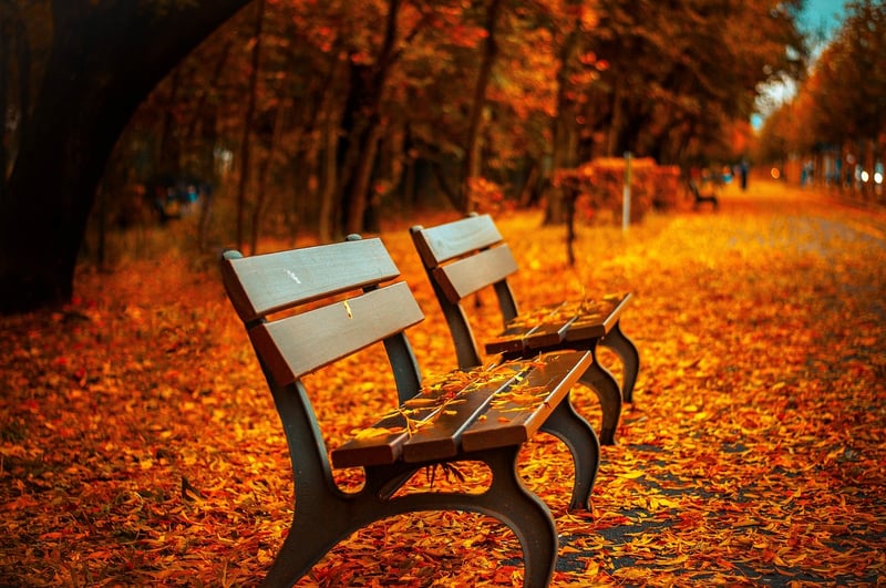 Autumn season
