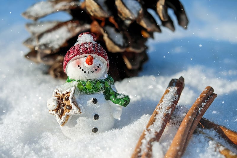 Winter Crafts