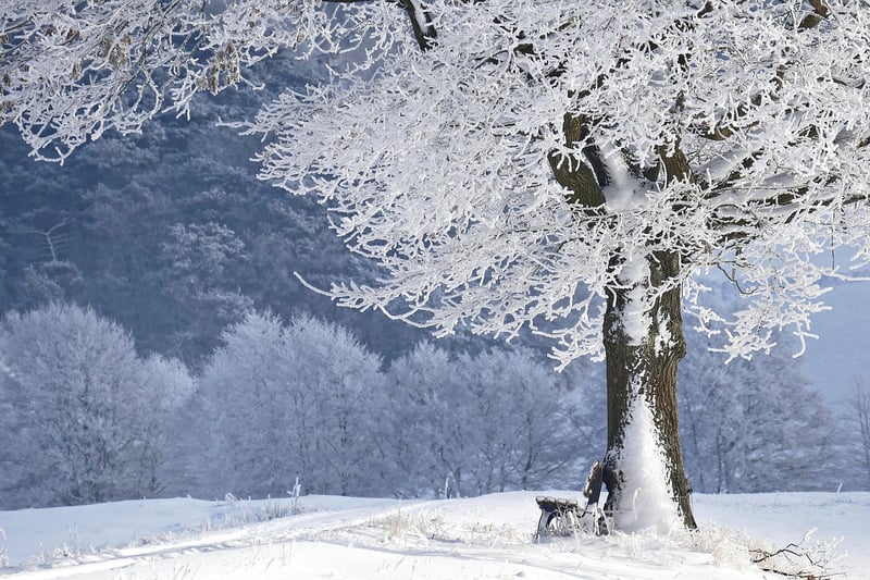Winter season